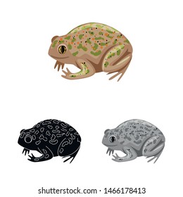 Vector design of toad and tropical logo. Collection of toad and green vector icon for stock.