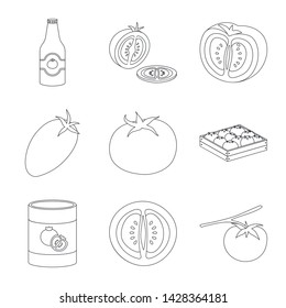 Vector design of tomat and diet logo. Set of tomat and agriculture stock symbol for web.