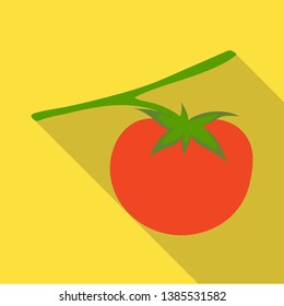Vector design of tomato and red icon. Set of tomato and ripe vector icon for stock.