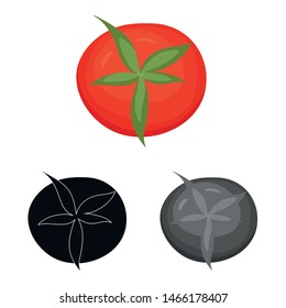 Vector design of tomato and red icon. Set of tomato and natural stock vector illustration.