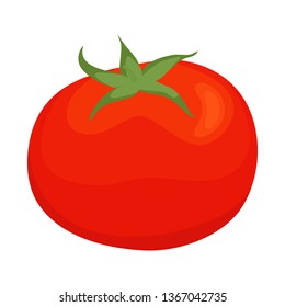 Vector design of tomato and red sign. Collection of tomato and vegan stock vector illustration.