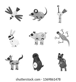 Vector design of toy and science icon. Set of toy and toy stock vector illustration.