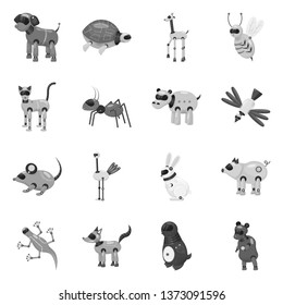 Vector design of toy and science icon. Collection of toy and toy vector icon for stock.