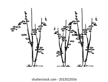 Vector design of a tree branch sketch