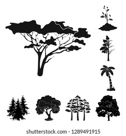 Vector design of tree  and forest icon. Set of tree  and green vector icon for stock.