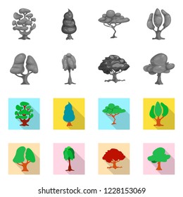 Vector design of tree and nature icon. Collection of tree and crown stock vector illustration.