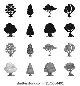 Vector design of tree and nature sign. Collection of tree and crown vector icon for stock.