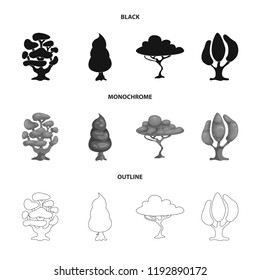 Vector design of tree and nature sign. Set of tree and crown stock vector illustration.