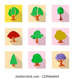 Vector design of tree and nature sign. Set of tree and crown stock vector illustration.