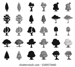 Vector design of tree and nature sign. Set of tree and crown stock symbol for web.
