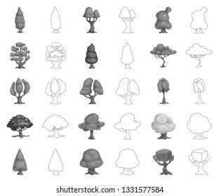 Vector design of tree and nature sign. Set of tree and crown stock symbol for web.