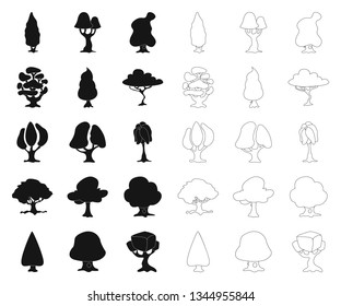 Vector design of tree and nature sign. Set of tree and crown stock symbol for web.