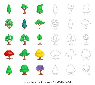 Vector design of tree and nature sign. Set of tree and crown stock symbol for web.