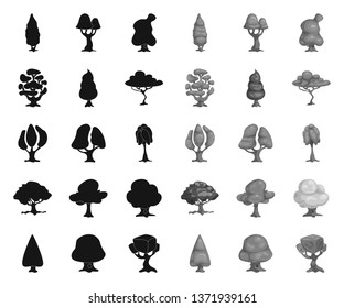 Vector design of tree and nature sign. Set of tree and crown stock symbol for web.