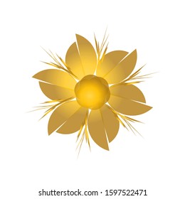 Vector design of tropical flowers, isolated white background