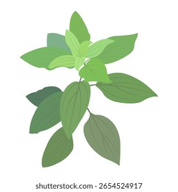 Projeto vetorial de plantas tropicais com folhas densas.