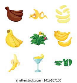 Vector design of tropical and ripe icon. Set of tropical and potassium stock vector illustration.