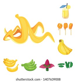 Vector design of tropical and ripe logo. Collection of tropical and potassium stock symbol for web.