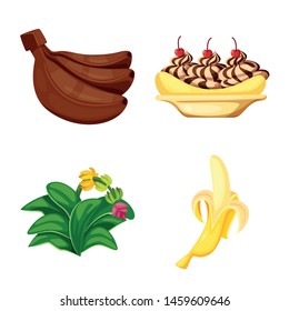 Vector design of tropical and ripe sign. Set of tropical and potassium vector icon for stock.