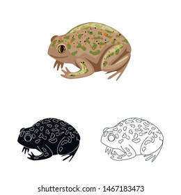 Vector design of tropical toad sign. Set of toad and green stock symbol for web.