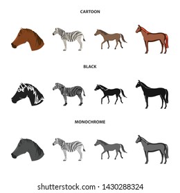 Vector design of trot and running icon. Collection of trot and clipart stock symbol for web.