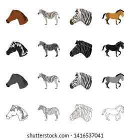 Vector design of trot and running logo. Set of trot and clipart vector icon for stock.