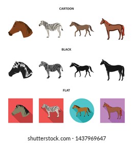 Vector design of trot and running logo. Collection of trot and clipart stock vector illustration.