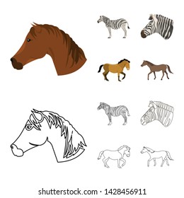 Vector design of trot and running sign. Set of trot and clipart vector icon for stock.