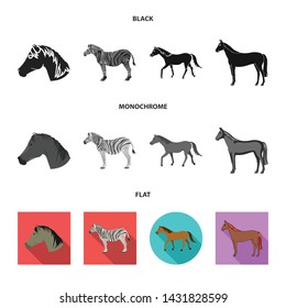 Vector design of trot and running sign. Collection of trot and clipart stock symbol for web.