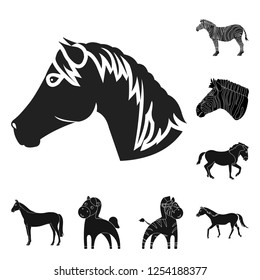 Vector design of trot and running symbol. Collection of trot and clipart vector icon for stock.