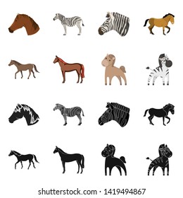 Vector design of trot and running symbol. Set of trot and clipart stock symbol for web.