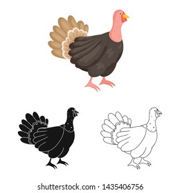 Vector design of turkey and bird symbol. Collection of turkey and thanksgiving stock symbol for web.