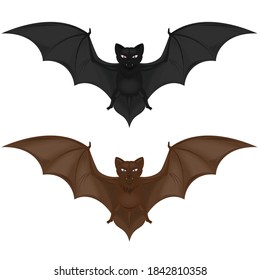 Vector design of two flying mammals, bat in two colors. All on white background.