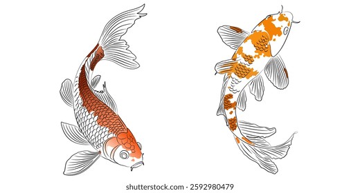 vector design of two koi fish