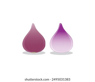 vector design of two red onions, one with its skin open while the other is still wrapped in its skin