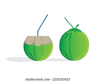 vector design of two young coconuts, one of which has been cut off the top and given a straw to drink while the other one is still intact