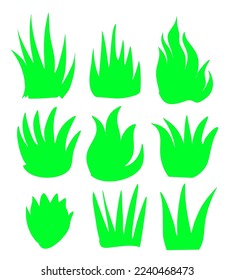 un diseño vectorial de diversas formas de pasto png