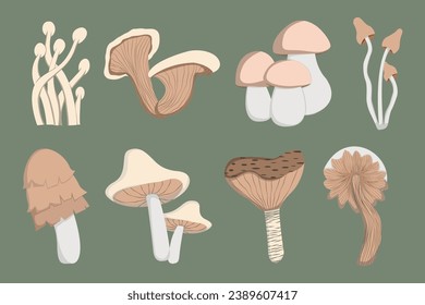 vector design with various shapes of wild mushrooms