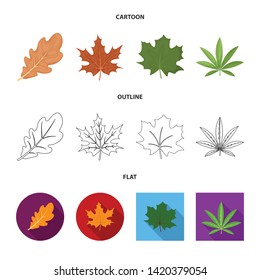 Vector design of vegan and organic icon. Collection of vegan and fresh stock vector illustration.