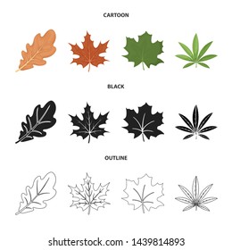 Vector design of vegan and organic icon. Set of vegan and fresh stock symbol for web.