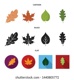 Vector design of vegan and organic icon. Collection of vegan and fresh stock symbol for web.