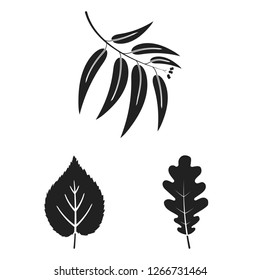 Vector design of vegan and organic logo. Collection of vegan and fresh stock symbol for web.