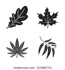 Vector design of vegan and organic logo. Collection of vegan and fresh stock vector illustration.