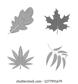 Vector design of vegan and organic logo. Collection of vegan and fresh vector icon for stock.