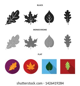 Vector design of vegan and organic logo. Collection of vegan and fresh stock symbol for web.