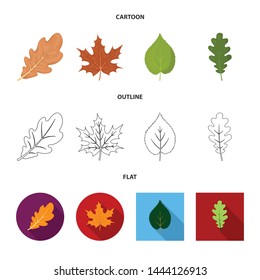 Vector design of vegan and organic logo. Set of vegan and fresh stock symbol for web.