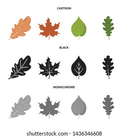 Vector design of vegan and organic symbol. Collection of vegan and fresh stock vector illustration.