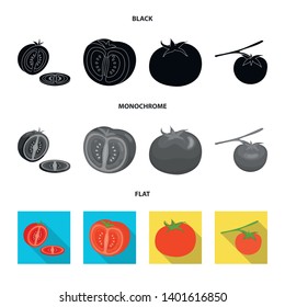 Vector design of vegetable and delicious icon. Collection of vegetable and natural vector icon for stock.