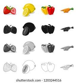 Vector design of vegetable and fruit icon. Collection of vegetable and vegetarian vector icon for stock.