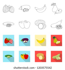 Vector design of vegetable and fruit icon. Set of vegetable and vegetarian stock symbol for web.